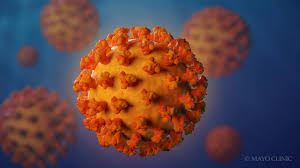 Coronavirus-Update