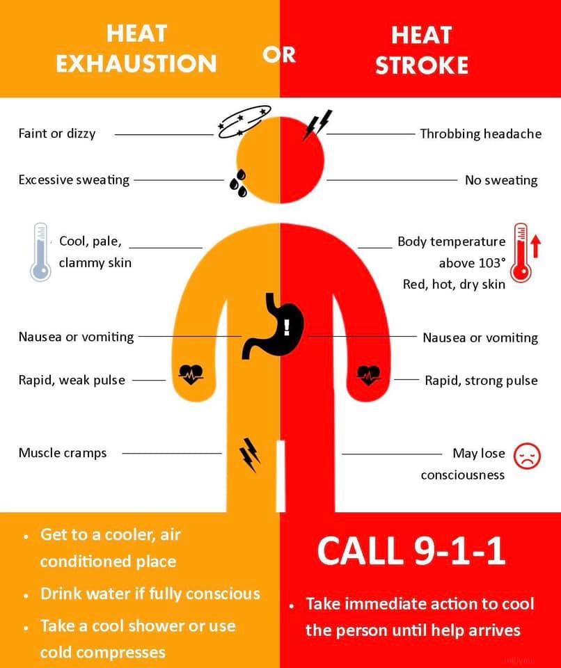 Signs of Heat sickness - flyer